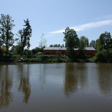Florennes Gite Neuf 150 M2 Devant Un Grand Lac Prive De 2 Hectares Poissonneux Au Milieu Des Bois ภายนอก รูปภาพ
