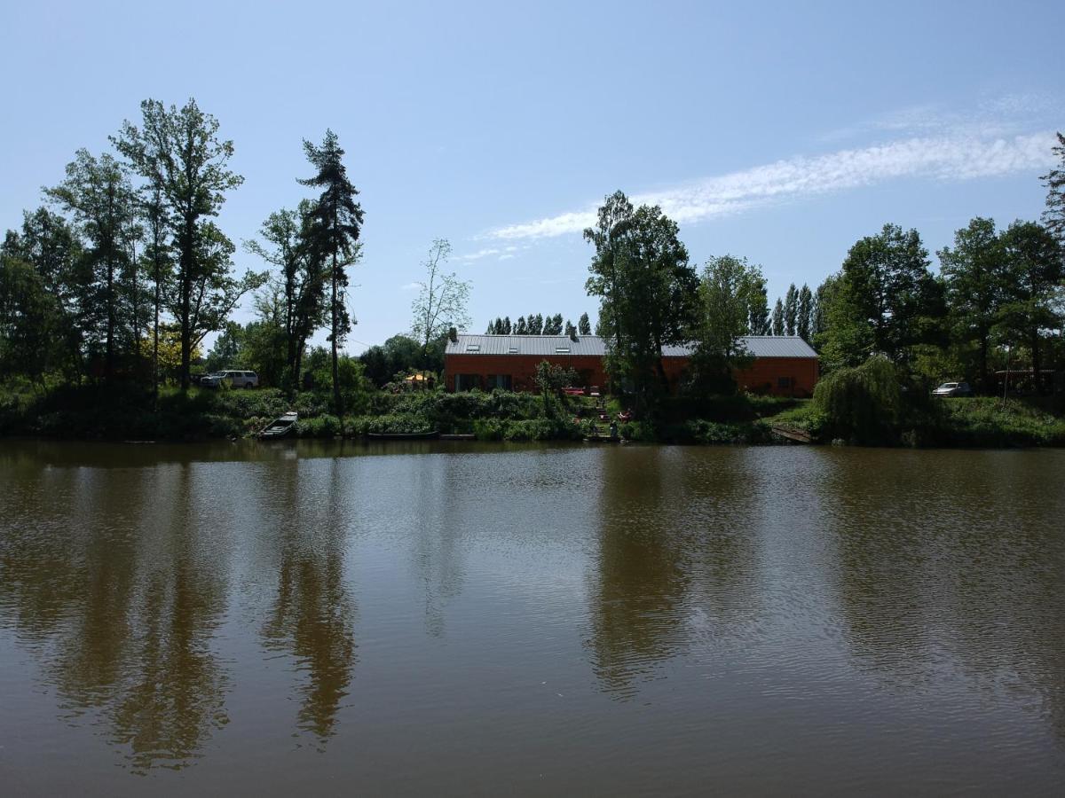Florennes Gite Neuf 150 M2 Devant Un Grand Lac Prive De 2 Hectares Poissonneux Au Milieu Des Bois ภายนอก รูปภาพ