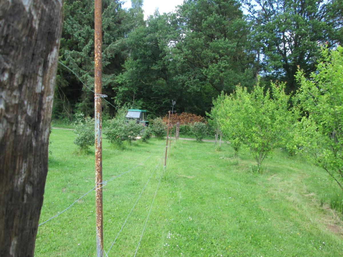 Florennes Gite Neuf 150 M2 Devant Un Grand Lac Prive De 2 Hectares Poissonneux Au Milieu Des Bois ภายนอก รูปภาพ