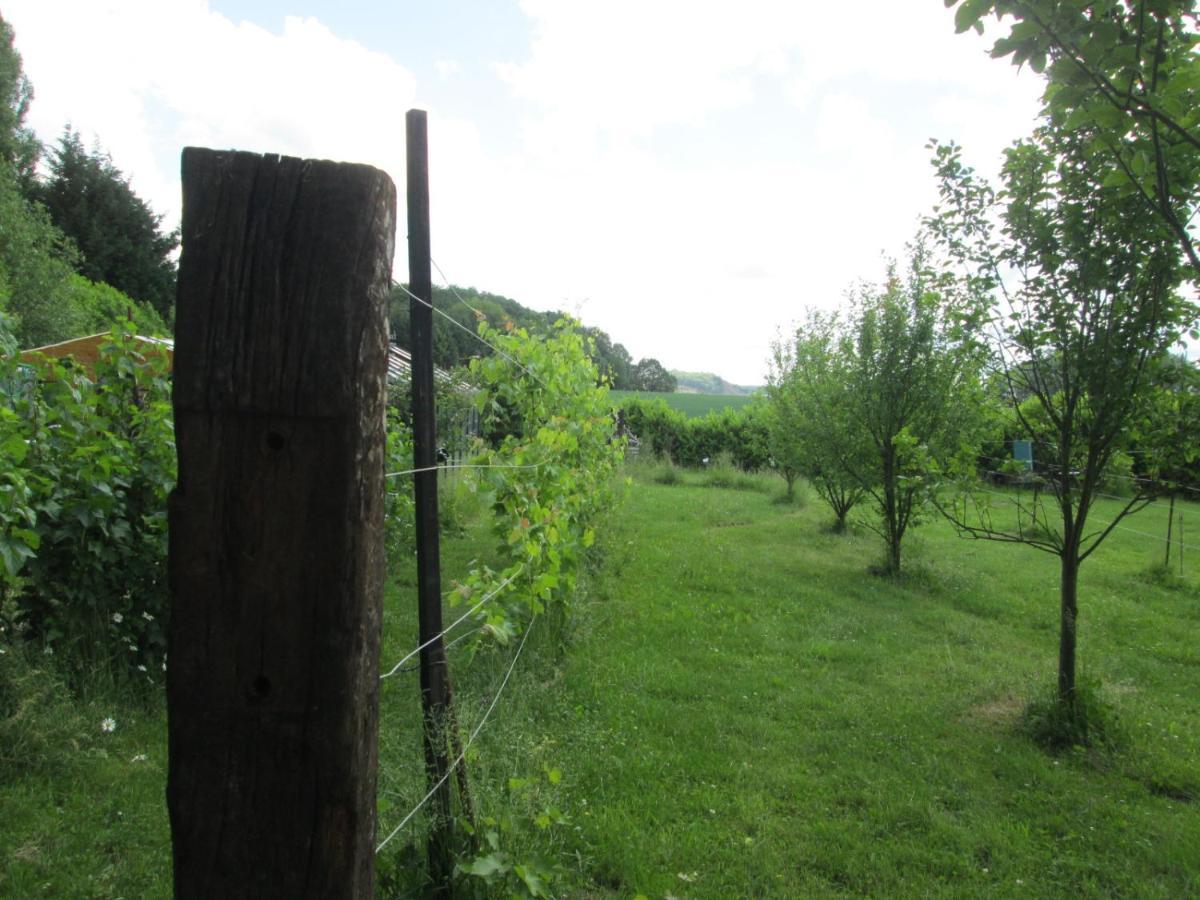 Florennes Gite Neuf 150 M2 Devant Un Grand Lac Prive De 2 Hectares Poissonneux Au Milieu Des Bois ภายนอก รูปภาพ