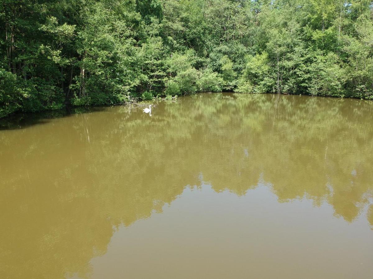 Florennes Gite Neuf 150 M2 Devant Un Grand Lac Prive De 2 Hectares Poissonneux Au Milieu Des Bois ภายนอก รูปภาพ