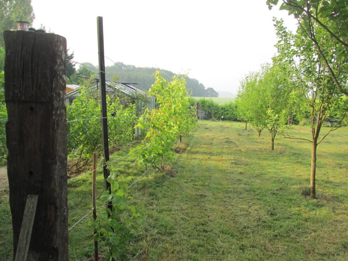 Florennes Gite Neuf 150 M2 Devant Un Grand Lac Prive De 2 Hectares Poissonneux Au Milieu Des Bois ภายนอก รูปภาพ