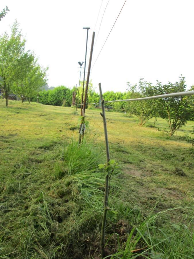 Florennes Gite Neuf 150 M2 Devant Un Grand Lac Prive De 2 Hectares Poissonneux Au Milieu Des Bois ภายนอก รูปภาพ