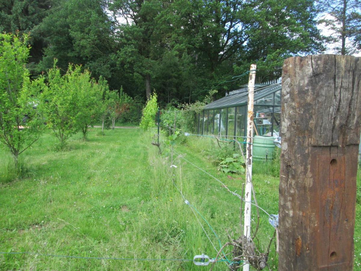 Florennes Gite Neuf 150 M2 Devant Un Grand Lac Prive De 2 Hectares Poissonneux Au Milieu Des Bois ภายนอก รูปภาพ