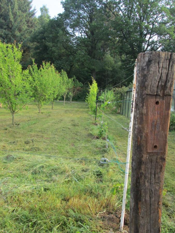 Florennes Gite Neuf 150 M2 Devant Un Grand Lac Prive De 2 Hectares Poissonneux Au Milieu Des Bois ภายนอก รูปภาพ