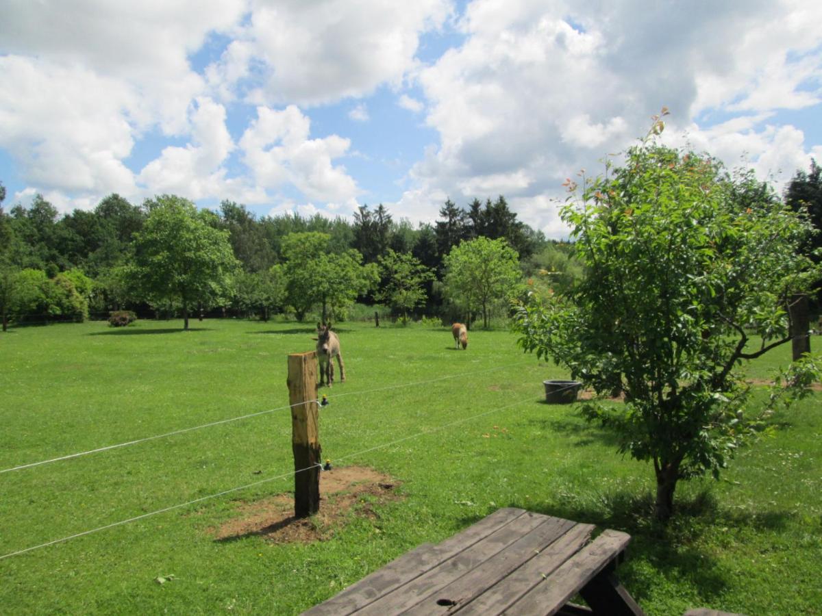 Florennes Gite Neuf 150 M2 Devant Un Grand Lac Prive De 2 Hectares Poissonneux Au Milieu Des Bois ภายนอก รูปภาพ