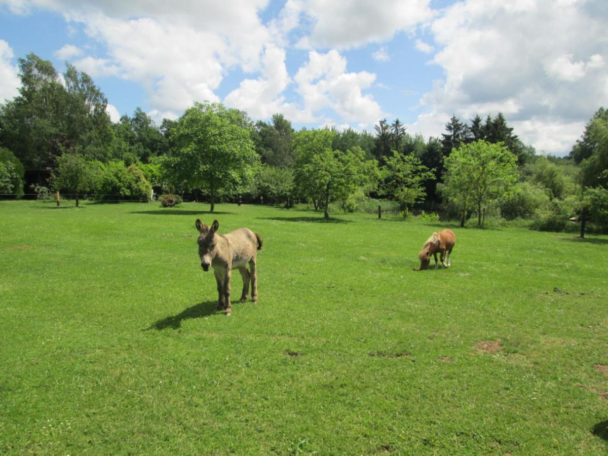 Florennes Gite Neuf 150 M2 Devant Un Grand Lac Prive De 2 Hectares Poissonneux Au Milieu Des Bois ภายนอก รูปภาพ