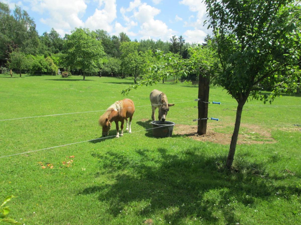 Florennes Gite Neuf 150 M2 Devant Un Grand Lac Prive De 2 Hectares Poissonneux Au Milieu Des Bois ภายนอก รูปภาพ