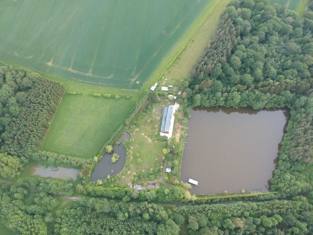 Florennes Gite Neuf 150 M2 Devant Un Grand Lac Prive De 2 Hectares Poissonneux Au Milieu Des Bois ภายนอก รูปภาพ