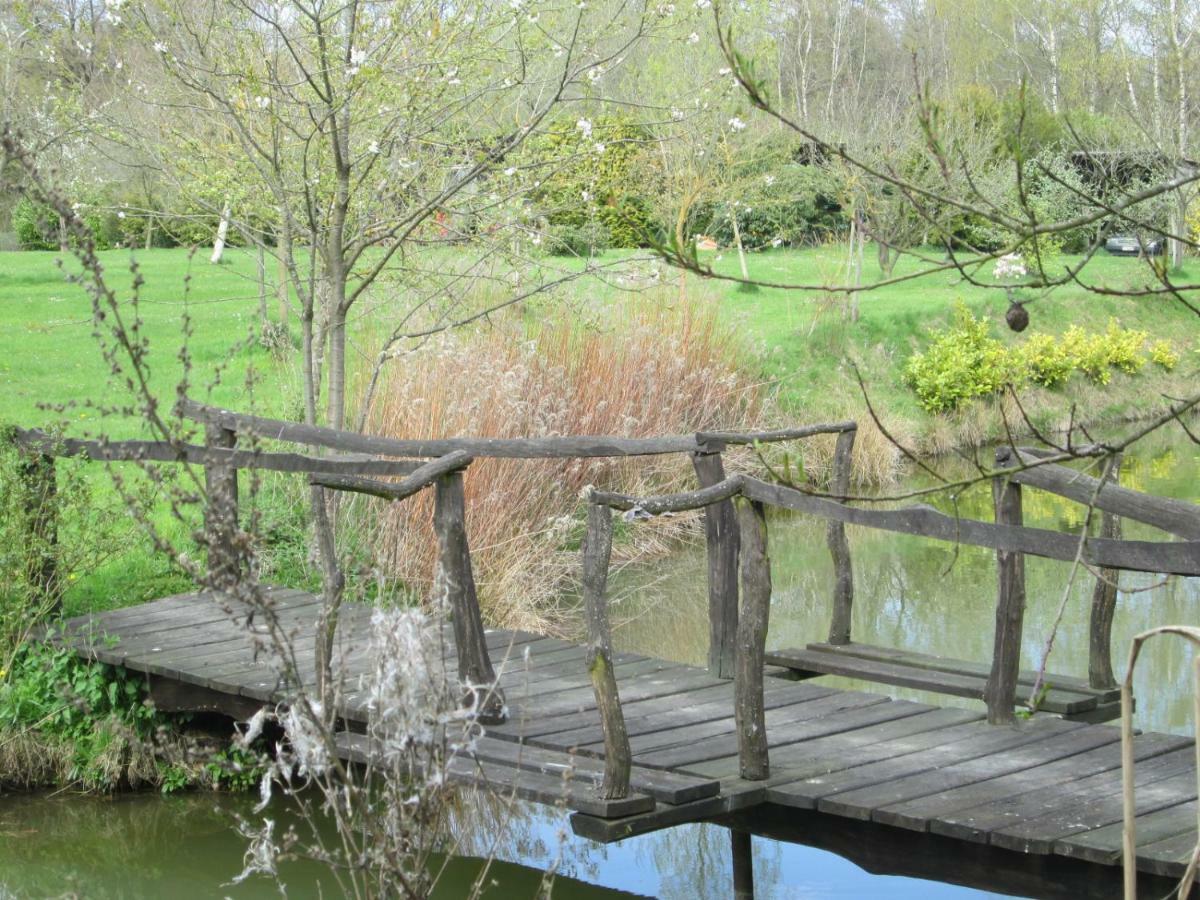 Florennes Gite Neuf 150 M2 Devant Un Grand Lac Prive De 2 Hectares Poissonneux Au Milieu Des Bois ภายนอก รูปภาพ
