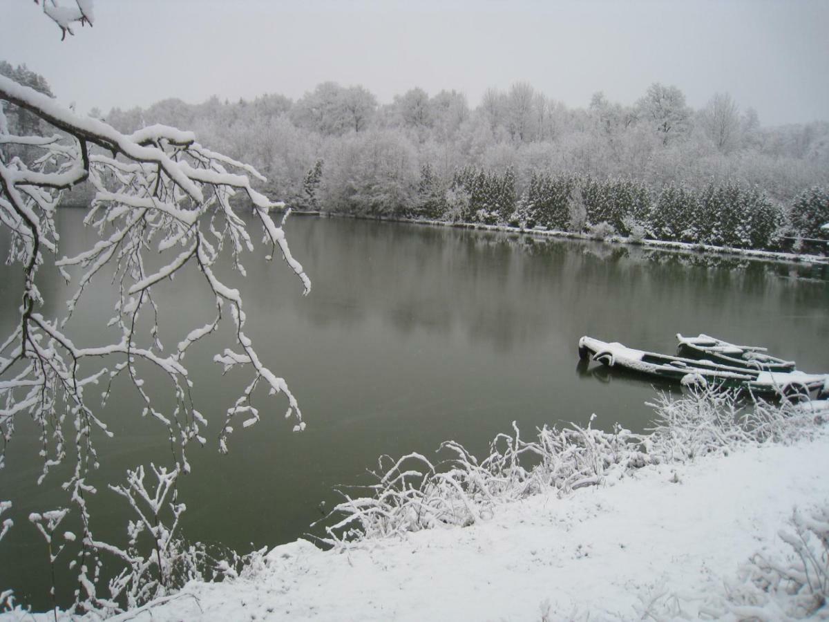 Florennes Gite Neuf 150 M2 Devant Un Grand Lac Prive De 2 Hectares Poissonneux Au Milieu Des Bois ภายนอก รูปภาพ
