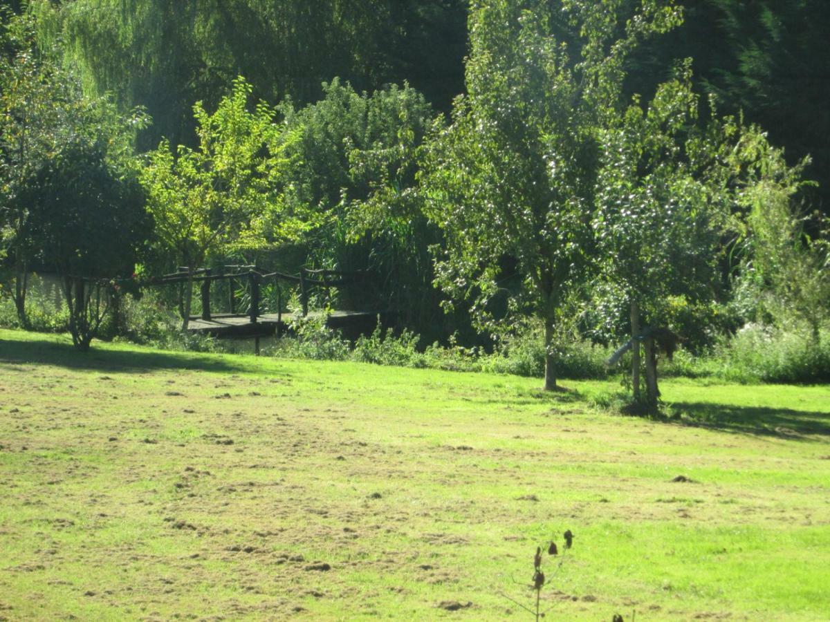 Florennes Gite Neuf 150 M2 Devant Un Grand Lac Prive De 2 Hectares Poissonneux Au Milieu Des Bois ภายนอก รูปภาพ