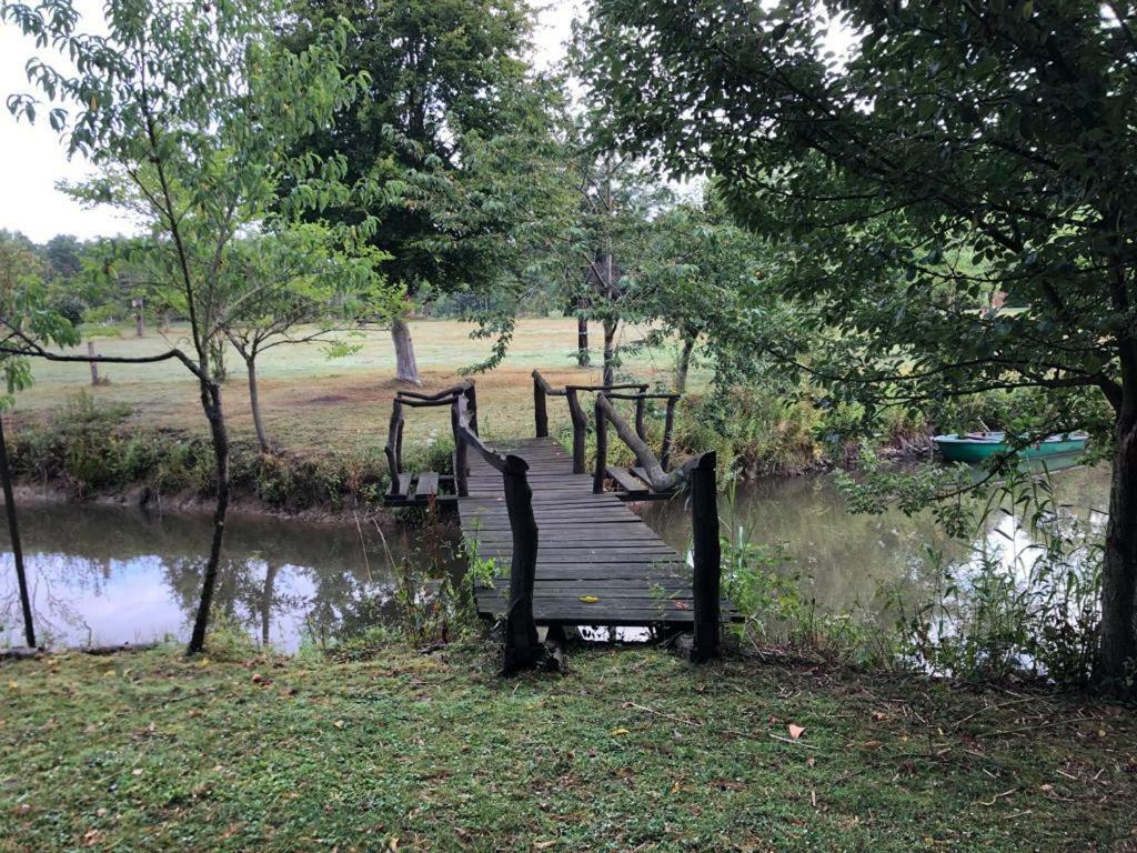 Florennes Gite Neuf 150 M2 Devant Un Grand Lac Prive De 2 Hectares Poissonneux Au Milieu Des Bois ภายนอก รูปภาพ