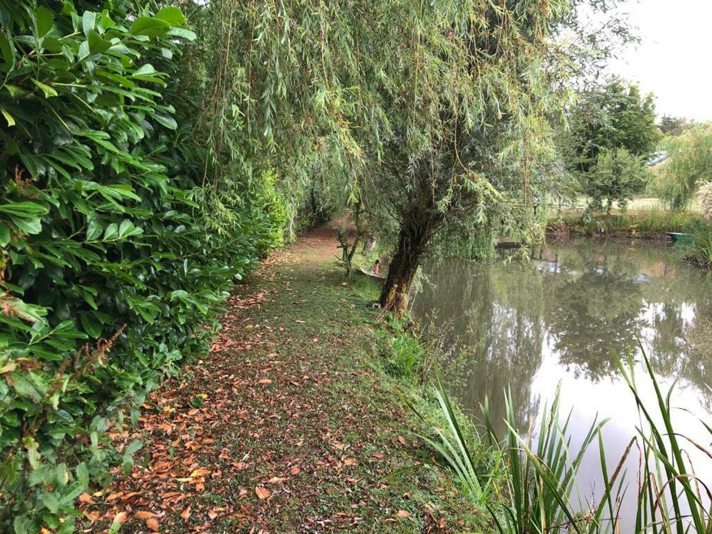 Florennes Gite Neuf 150 M2 Devant Un Grand Lac Prive De 2 Hectares Poissonneux Au Milieu Des Bois ภายนอก รูปภาพ