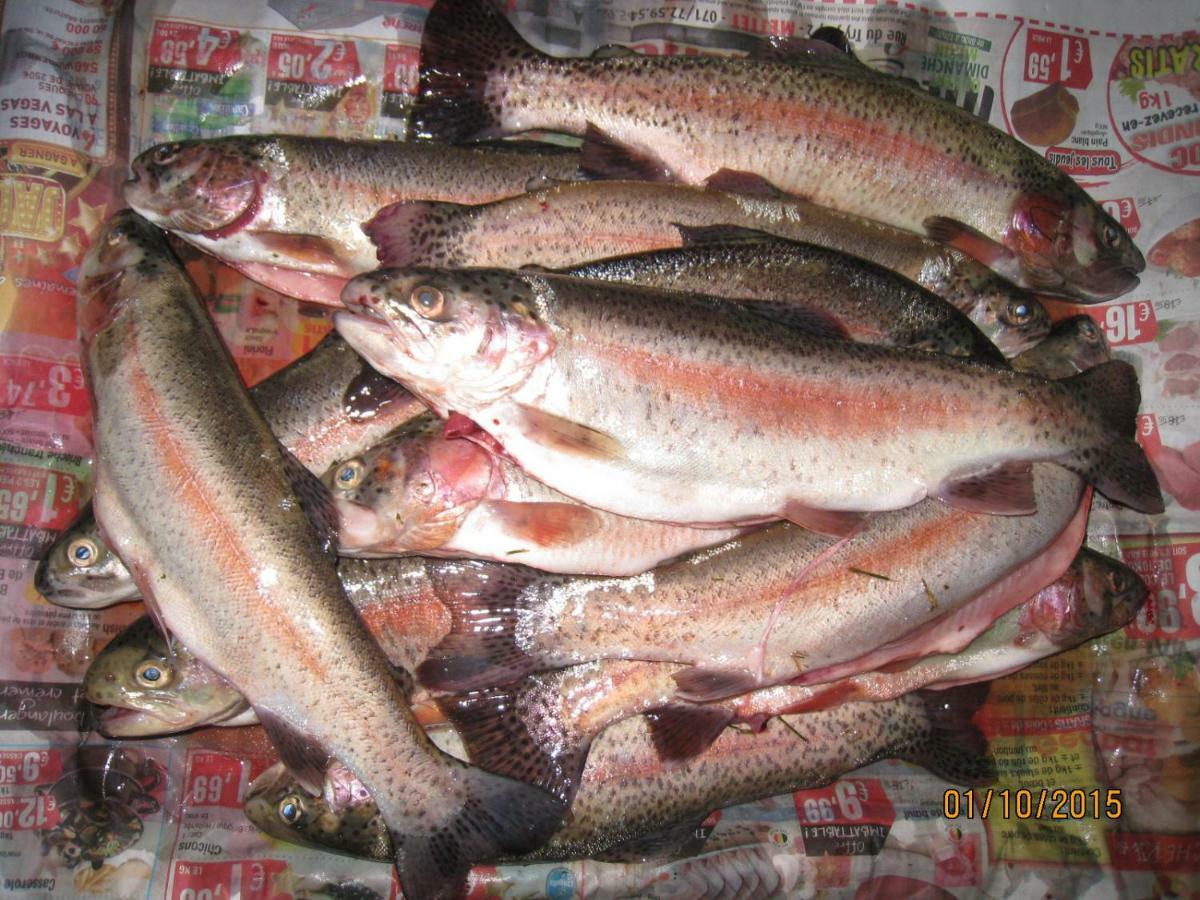 Florennes Gite Neuf 150 M2 Devant Un Grand Lac Prive De 2 Hectares Poissonneux Au Milieu Des Bois ภายนอก รูปภาพ